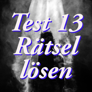 Rational? – Test 13: „Rätsel lösen“