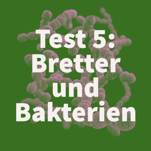 Rational?  – Test 5: „Bretter sägen und Bakterien züchten“