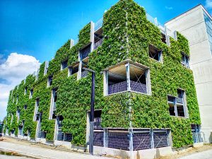 Dachbegrünung: Naturschutz am Bau ermöglicht gesteigerten Klimaschutz.